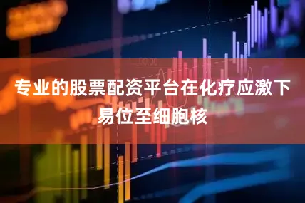 专业的股票配资平台在化疗应激下易位至细胞核