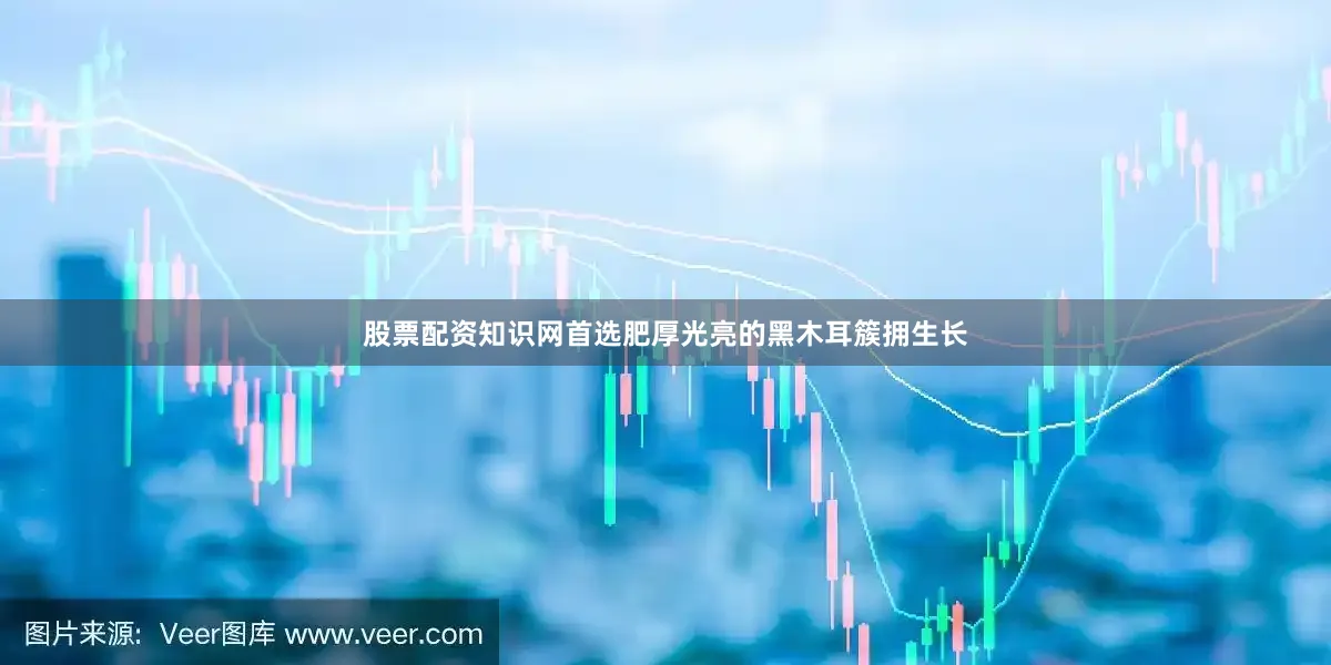 股票配资知识网首选肥厚光亮的黑木耳簇拥生长