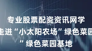专业股票配资资讯网学员们走进“小太阳农场”绿色菜园基地