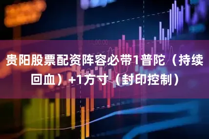 贵阳股票配资阵容必带1普陀（持续回血）+1方寸（封印控制）