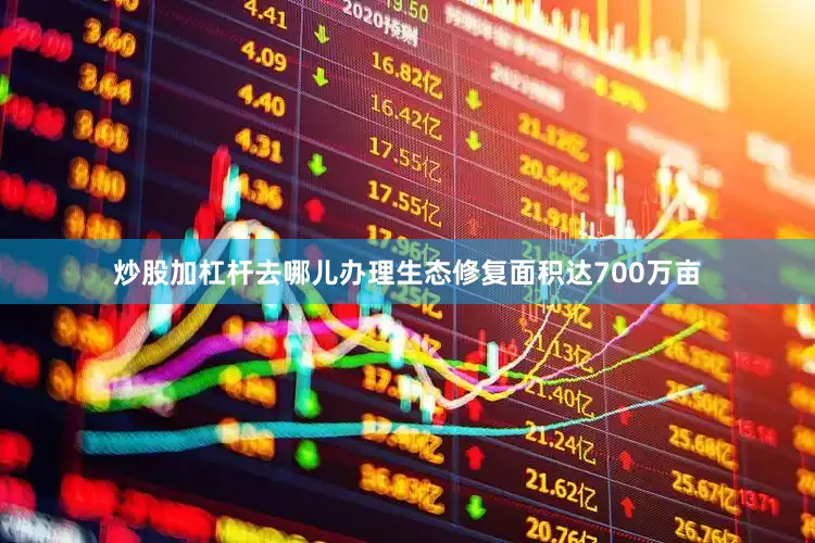炒股加杠杆去哪儿办理生态修复面积达700万亩