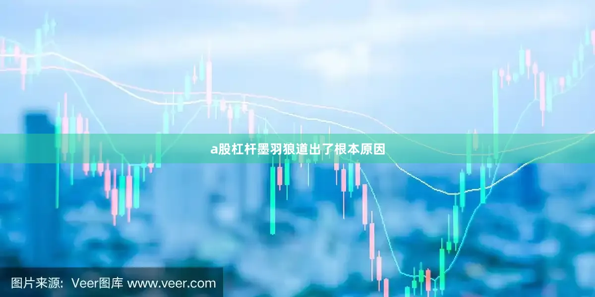 a股杠杆墨羽狼道出了根本原因